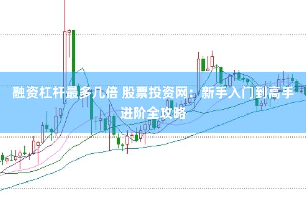 融资杠杆最多几倍 股票投资网：新手入门到高手进阶全攻略