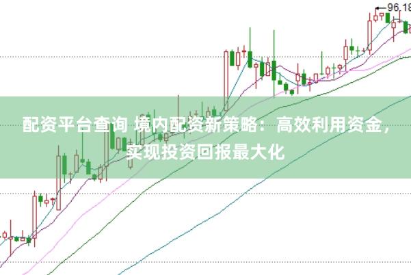配资平台查询 境内配资新策略：高效利用资金，实现投资回报最大化