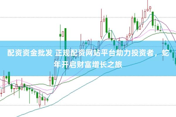 配资资金批发 正规配资网站平台助力投资者，蛇年开启财富增长之旅