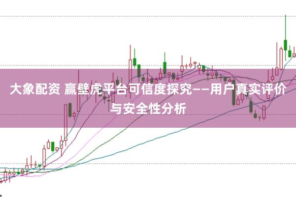 大象配资 赢壁虎平台可信度探究——用户真实评价与安全性分析