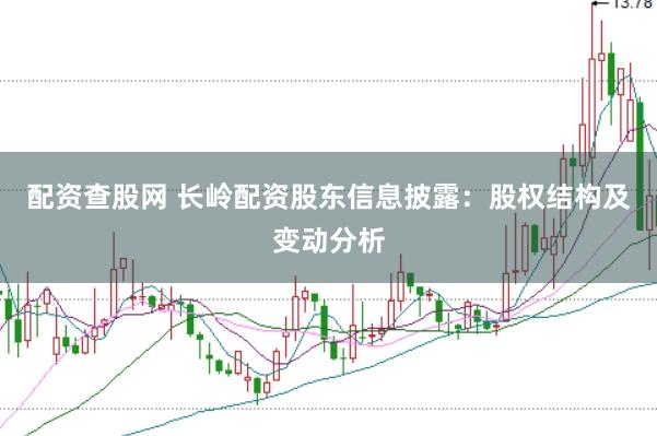 配资查股网 长岭配资股东信息披露：股权结构及变动分析
