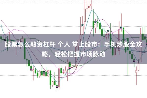 股票怎么融资杠杆 个人 掌上股市：手机炒股全攻略，轻松把握市场脉动