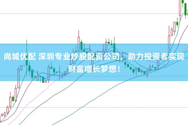 尚城优配 深圳专业炒股配资公司，助力投资者实现财富增长梦想！