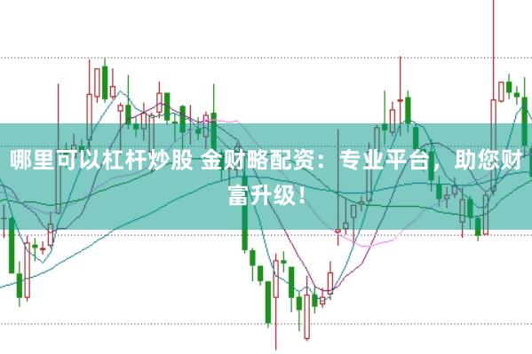 哪里可以杠杆炒股 金财略配资：专业平台，助您财富升级！