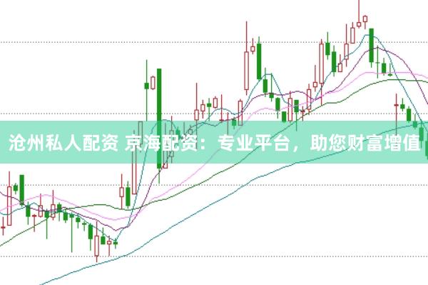 沧州私人配资 京海配资：专业平台，助您财富增值