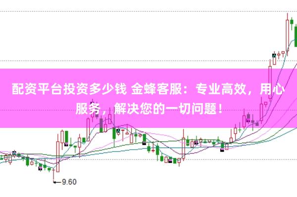 配资平台投资多少钱 金蜂客服：专业高效，用心服务，解决您的一切问题！