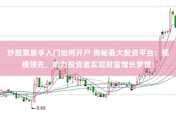 炒股票新手入门如何开户 揭秘最大配资平台：规模领先，助力投资者实现财富增长梦想！