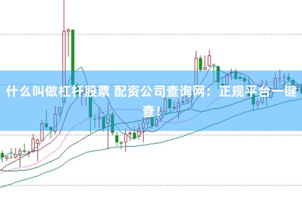 什么叫做杠杆股票 配资公司查询网：正规平台一键查！