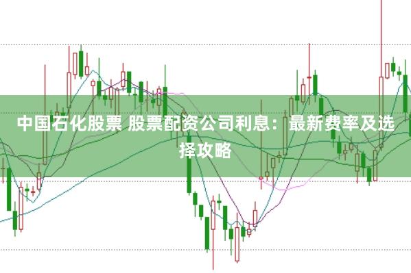 中国石化股票 股票配资公司利息：最新费率及选择攻略