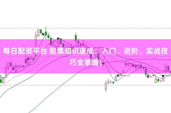 每日配资平台 股票知识速成：入门、进阶、实战技巧全掌握！