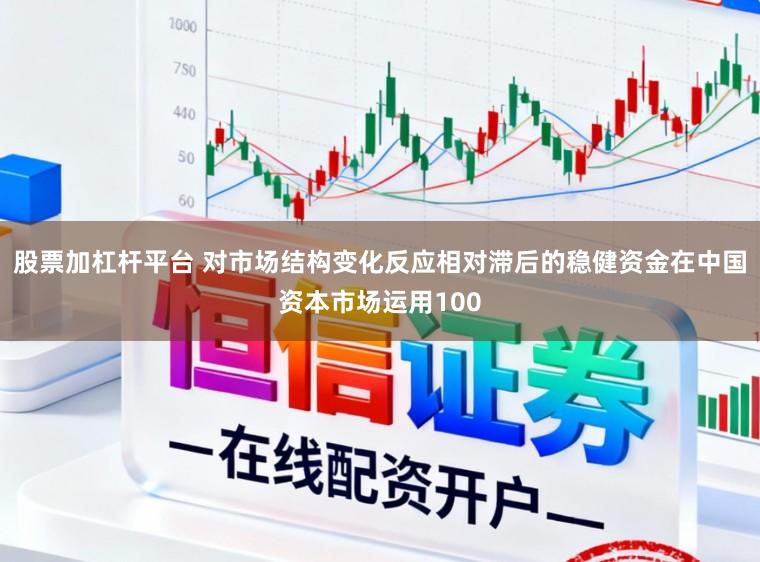 股票加杠杆平台 对市场结构变化反应相对滞后的稳健资金在中国资本市场运用100